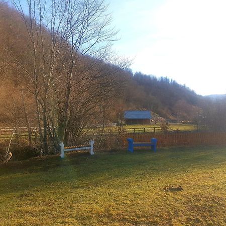 Vikendica Nole Jahorina Villa Pale Dış mekan fotoğraf