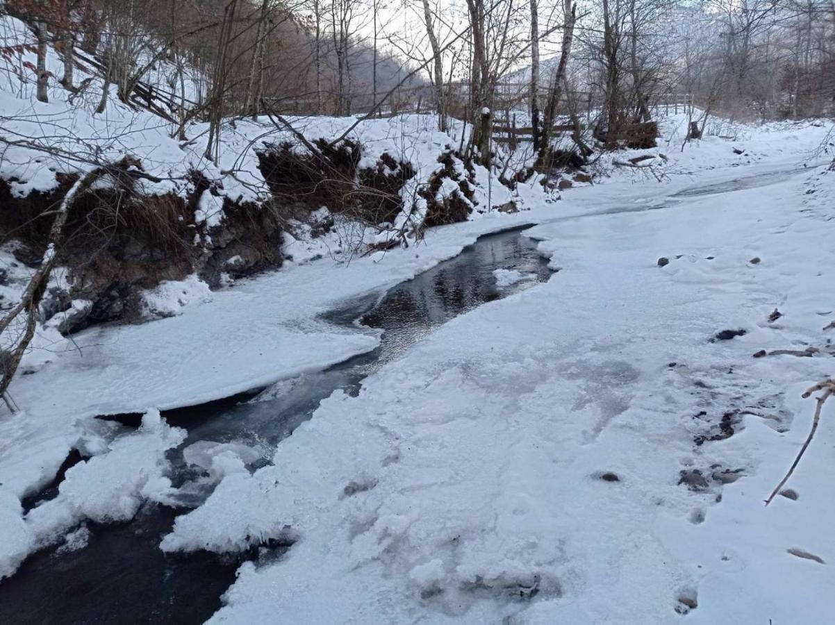 Vikendica Nole Jahorina Villa Pale Dış mekan fotoğraf