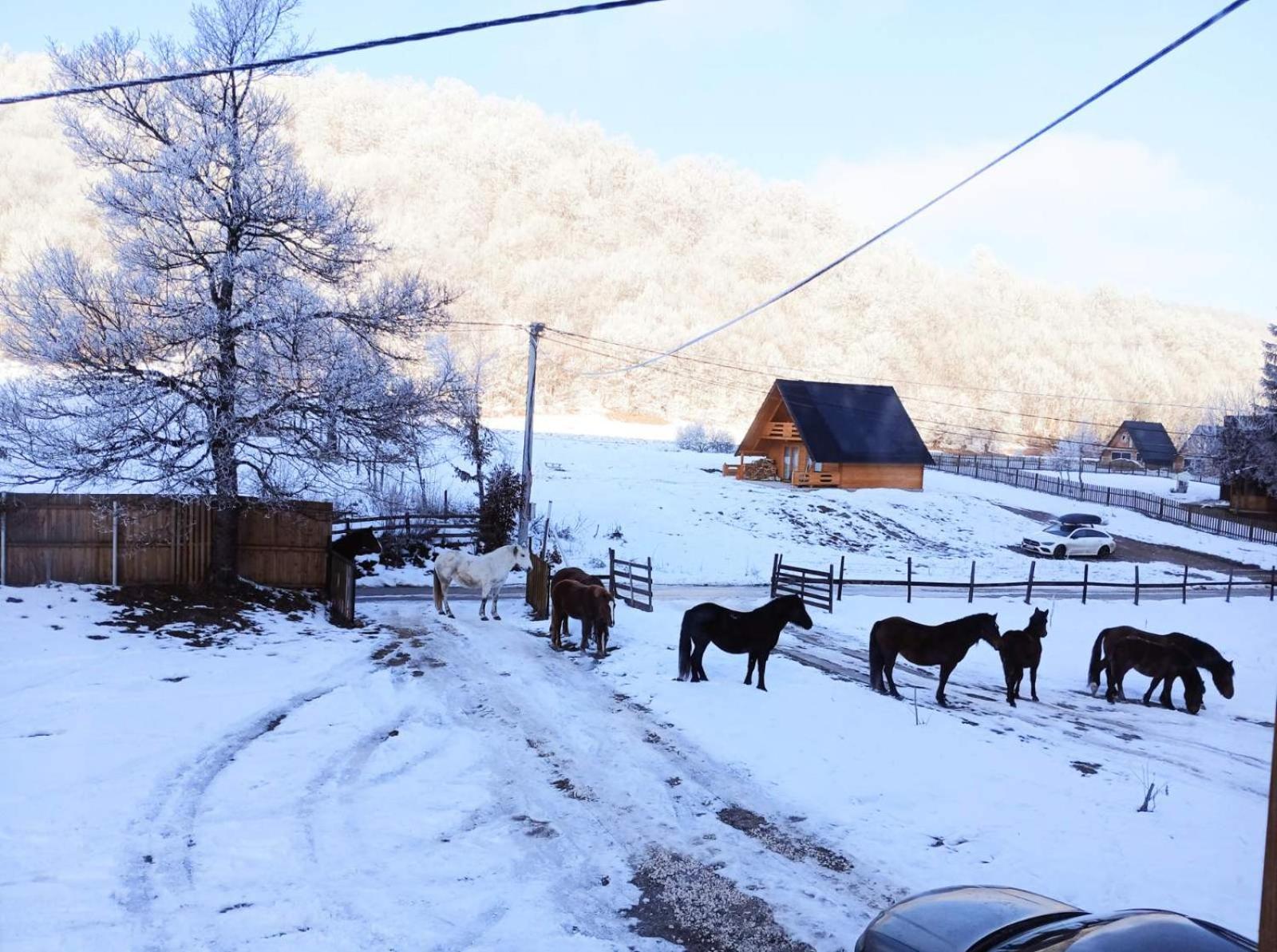 Vikendica Nole Jahorina Villa Pale Dış mekan fotoğraf